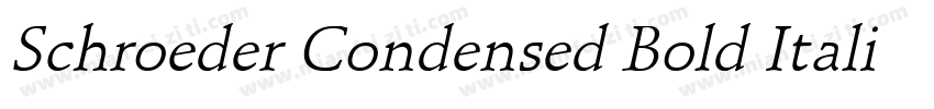 Schroeder Condensed Bold Italic字体转换